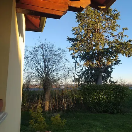 Azienda Agricola Baldini Ferdinando *